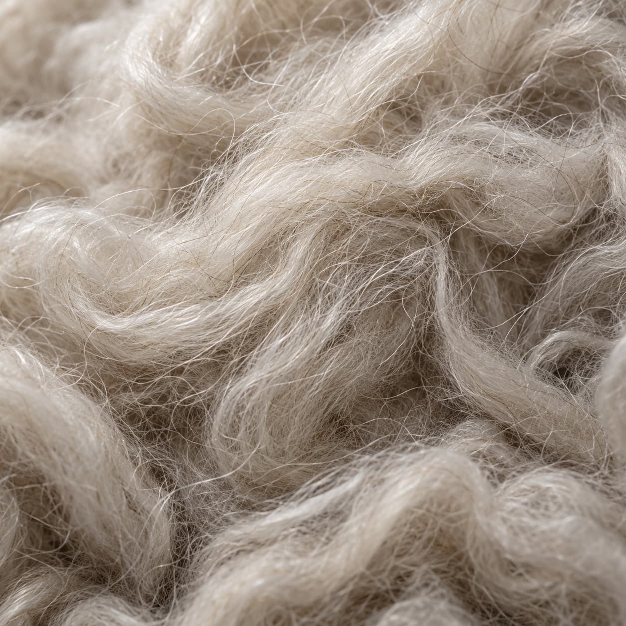 Macro detail of raw undyed cashmere fibre